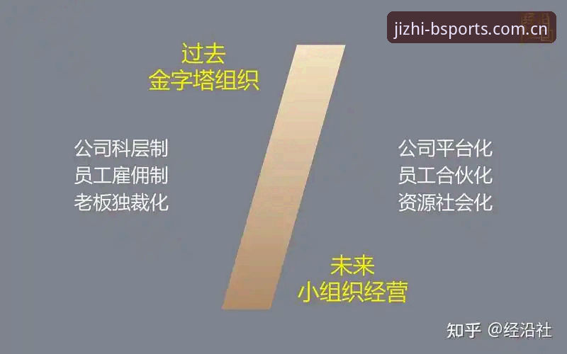 揭秘b体育评价必备：极致竞技体验背后的五大真相